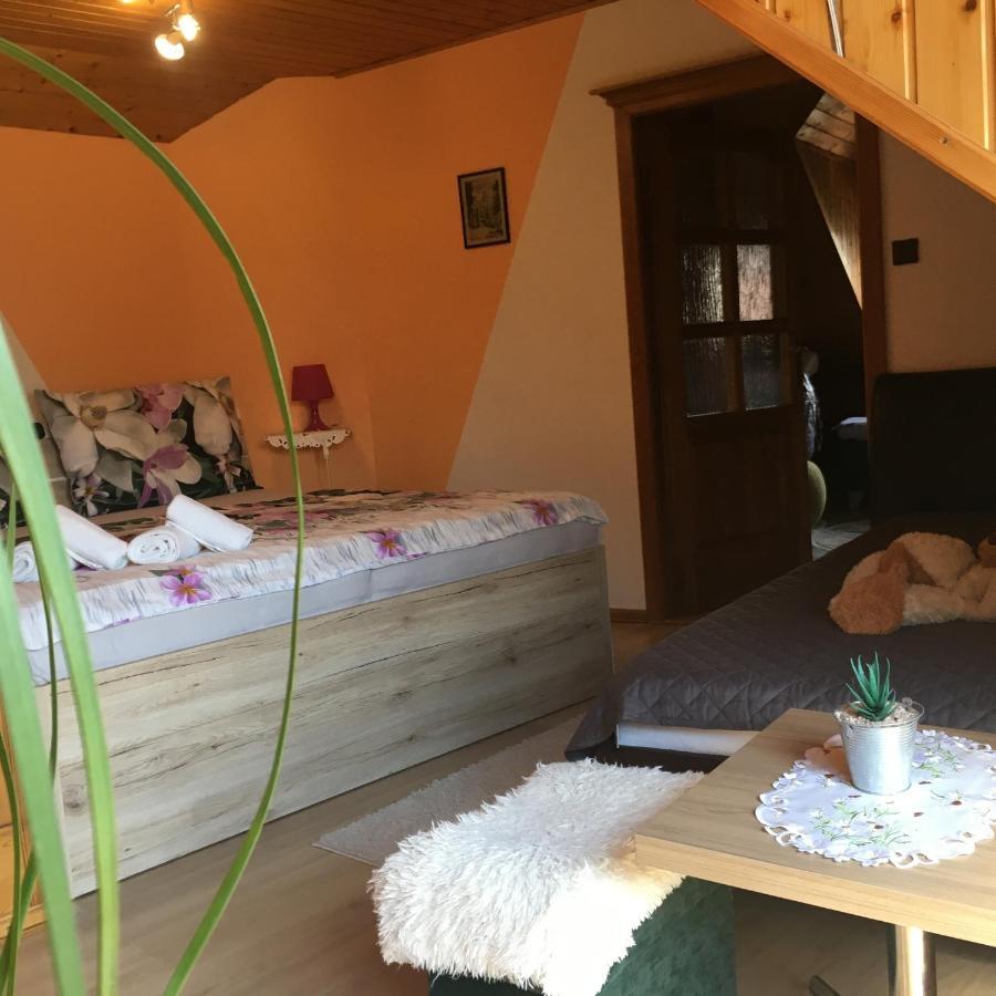 Apartment U Malse 12 Чеське Будєйовіце Екстер'єр фото